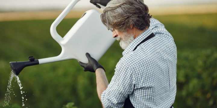 Tarla, Bahçe ve Sera Sulamasında Su Sondajının 8 Büyük Avantajı | Bursa Profesyonel Sondaj Hizmetleri – Öz-Su