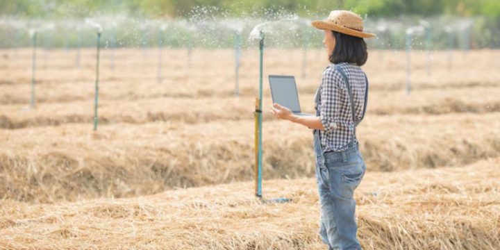 Tarım Arazilerinde Su Sondajı ile Verimliliği Artırmanın Yolları | Öz-Su