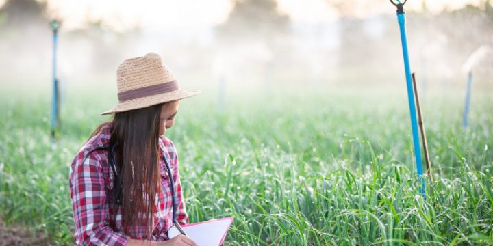 Köy ve Tarım Alanlarında Sondaj Kuyusu Açtırmanın Uzun Vadeli Faydaları | Bursa Öz-Su Sondaj Hizmetleri